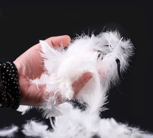 2-4cm white goose feather - Down Duvet Insert, Custom Goose Comforters - Hongji Down